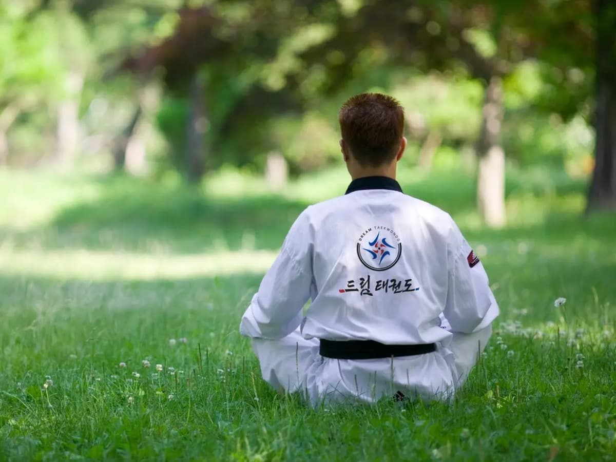 드림태권도 도복 후면 브랜드 로고 디자인 브랜딩 포트폴리오