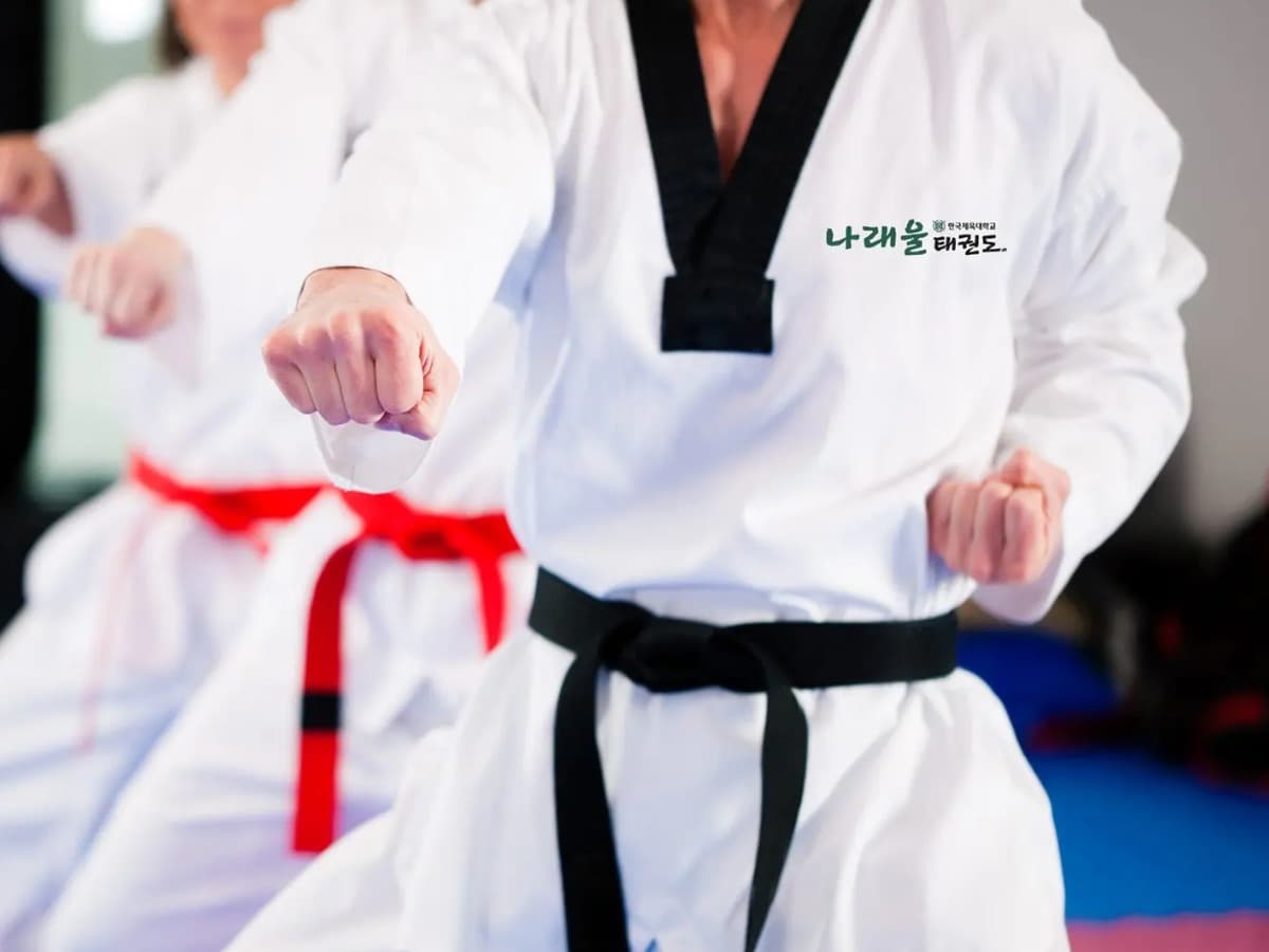 나래울태권도 도복 적용 브랜드 디자인 브랜딩 포트폴리오